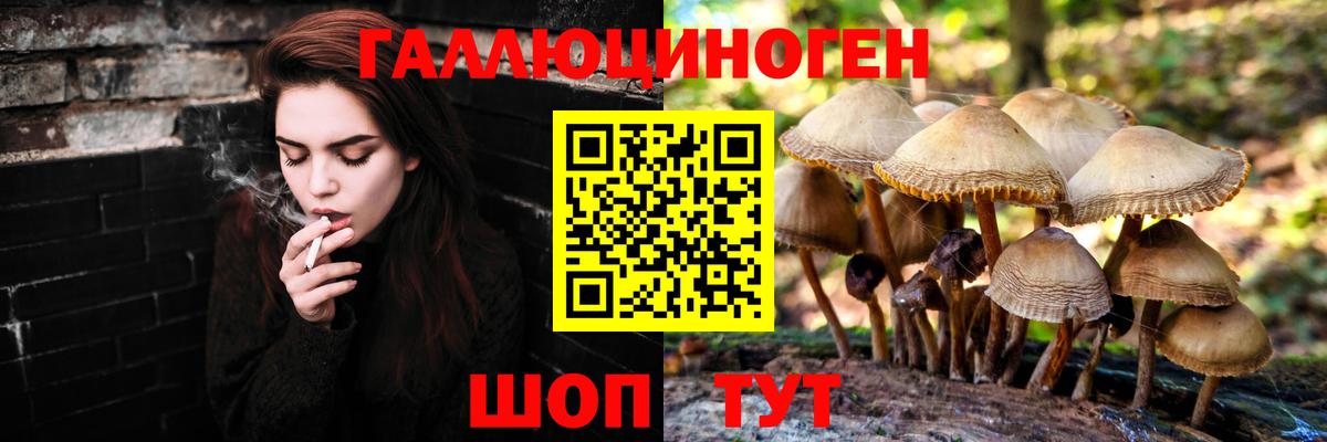 Псилоцибиновые грибы MAGIC MUSHROOMS  Вход с VPN  Ессентуки 